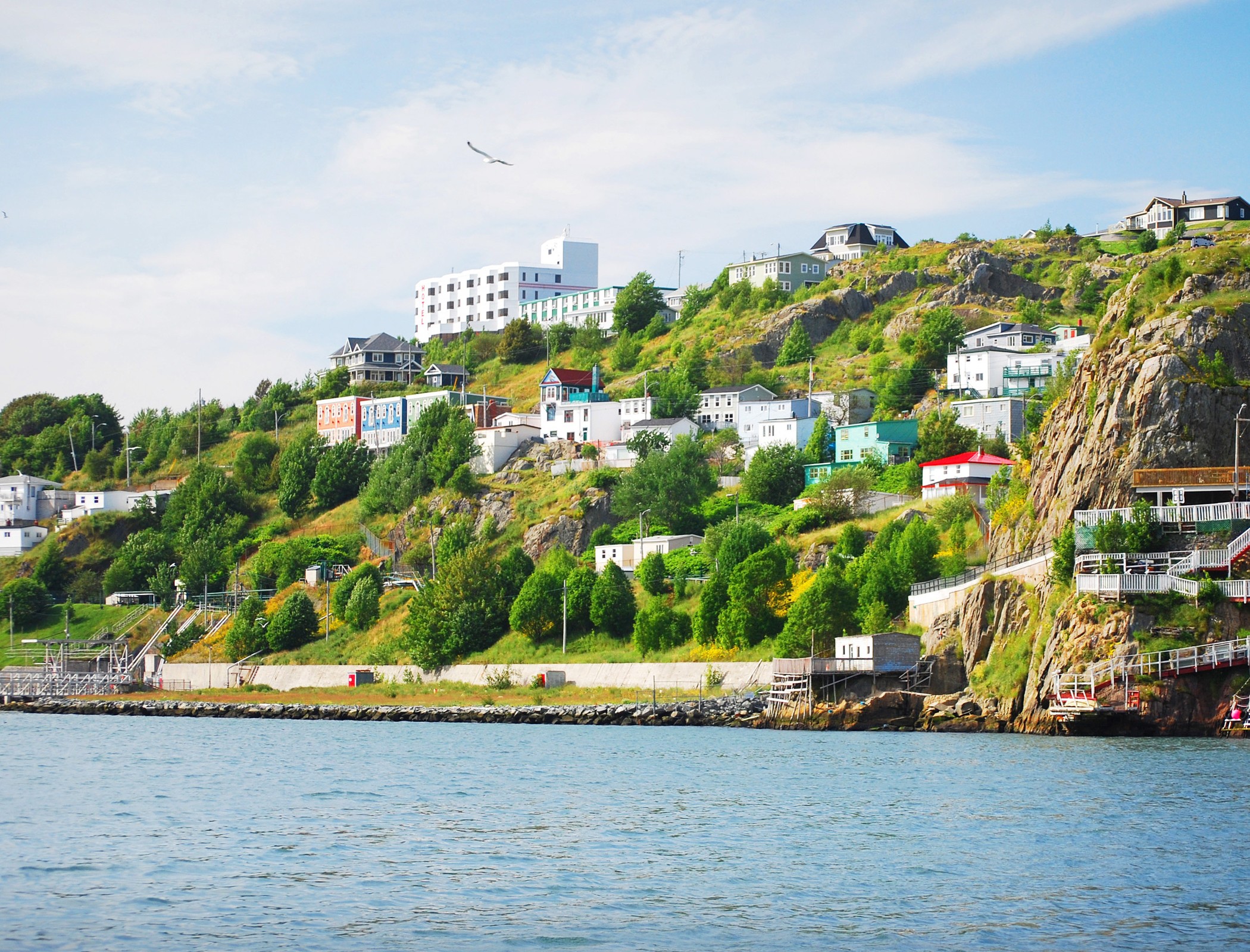 an overlooking shot of st. john's houses from the water's edge