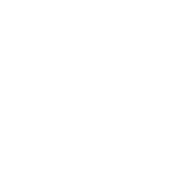 a badge of integrity icon