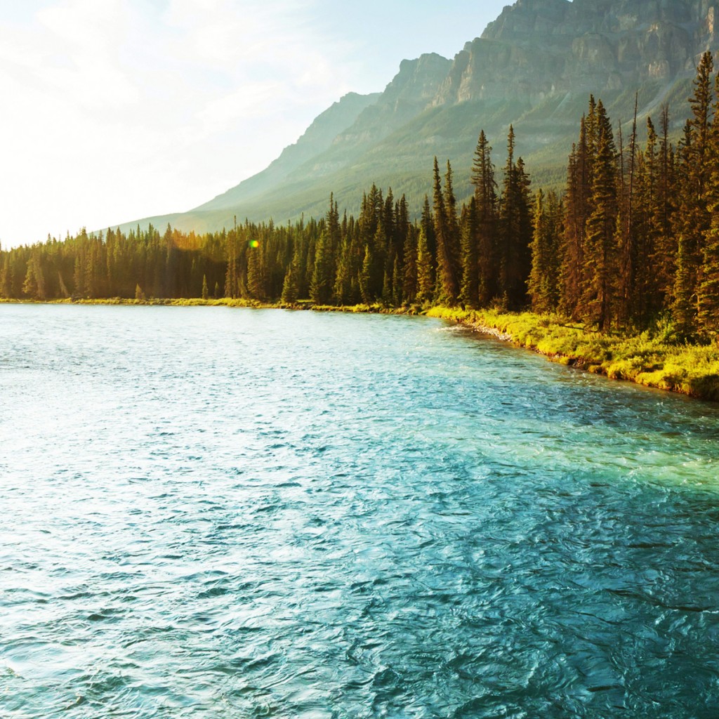 a landscape of fresh water along a tree covered bank and rolling mountains